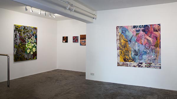 install shot 